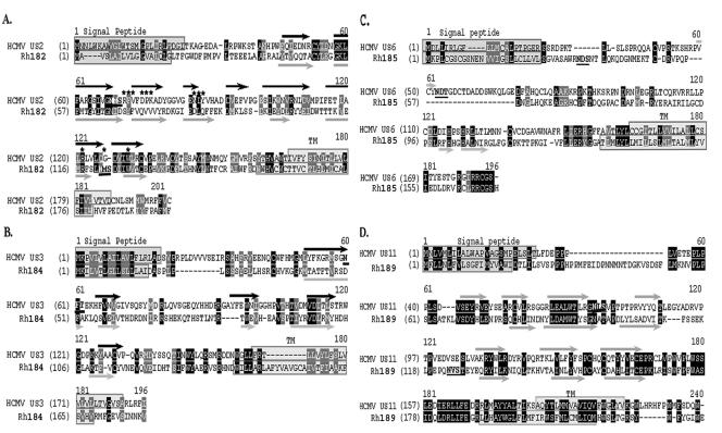 FIG. 8.