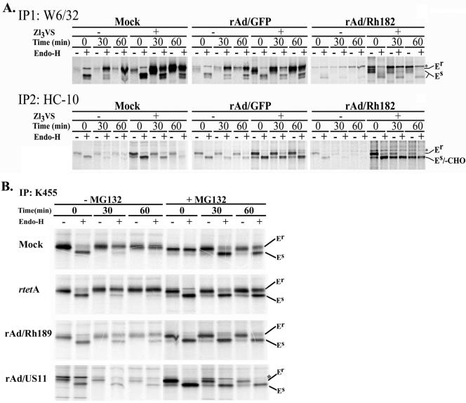 FIG. 7.