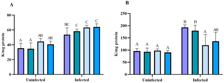 Figure 10