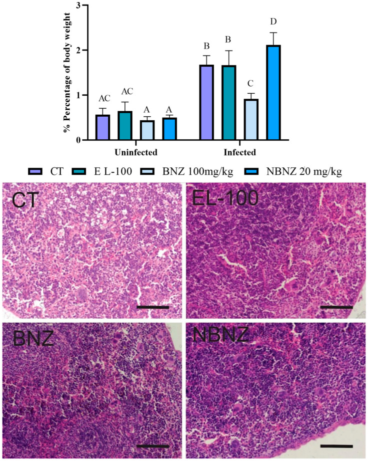 Figure 12