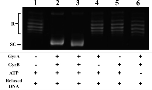 Fig. 2.