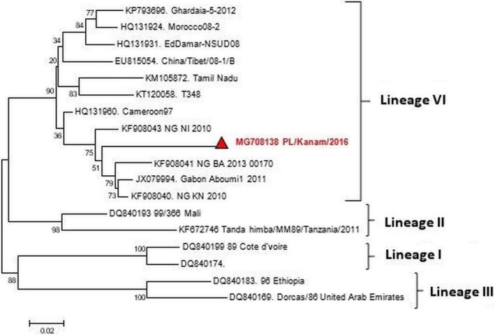 Figure 3