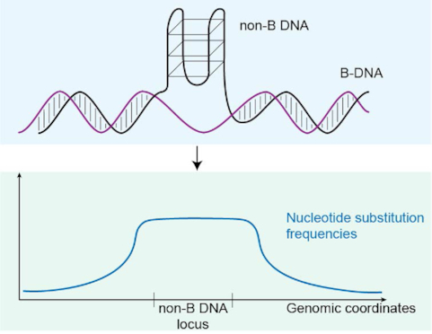 Graphical Abstract