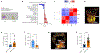 Fig. 3 |