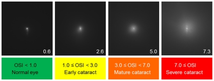 Figure 10