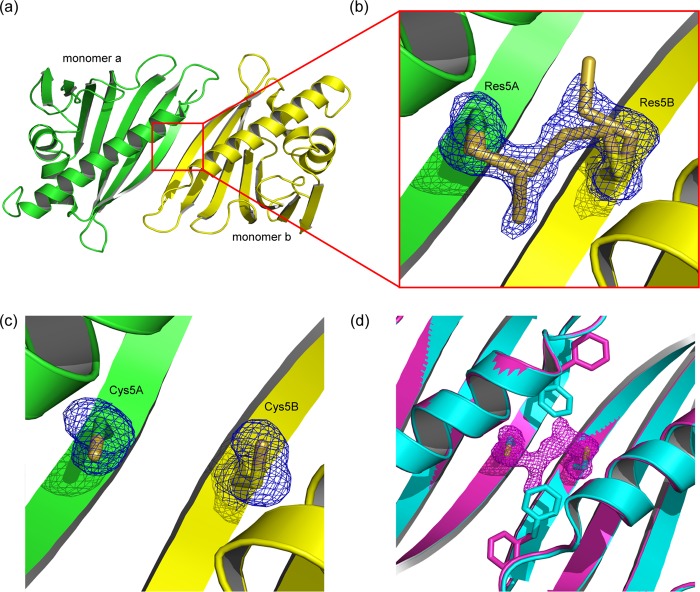 FIGURE 2.