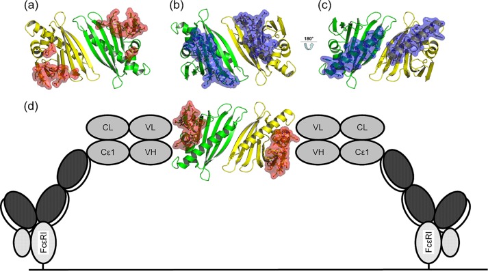 FIGURE 7.