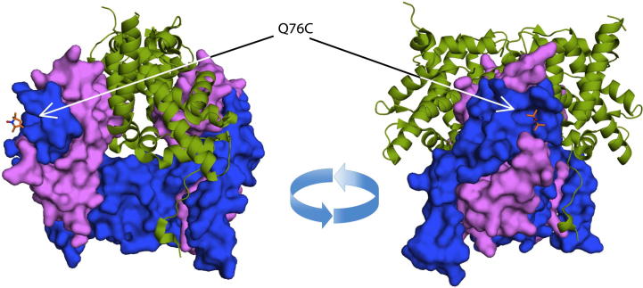 Fig. 1