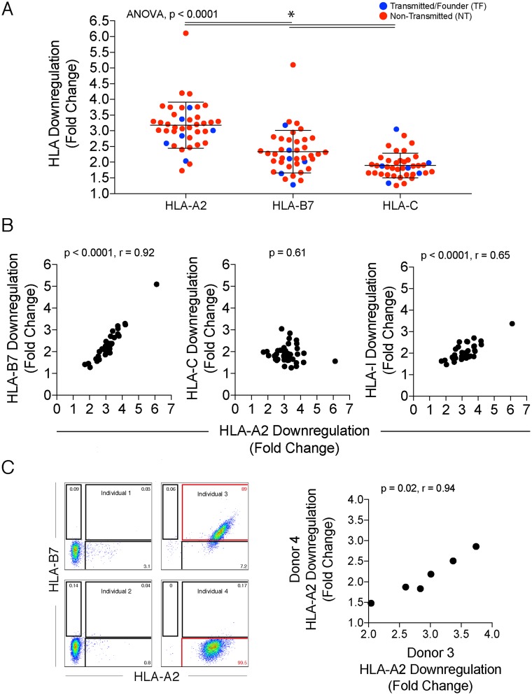 FIG 3