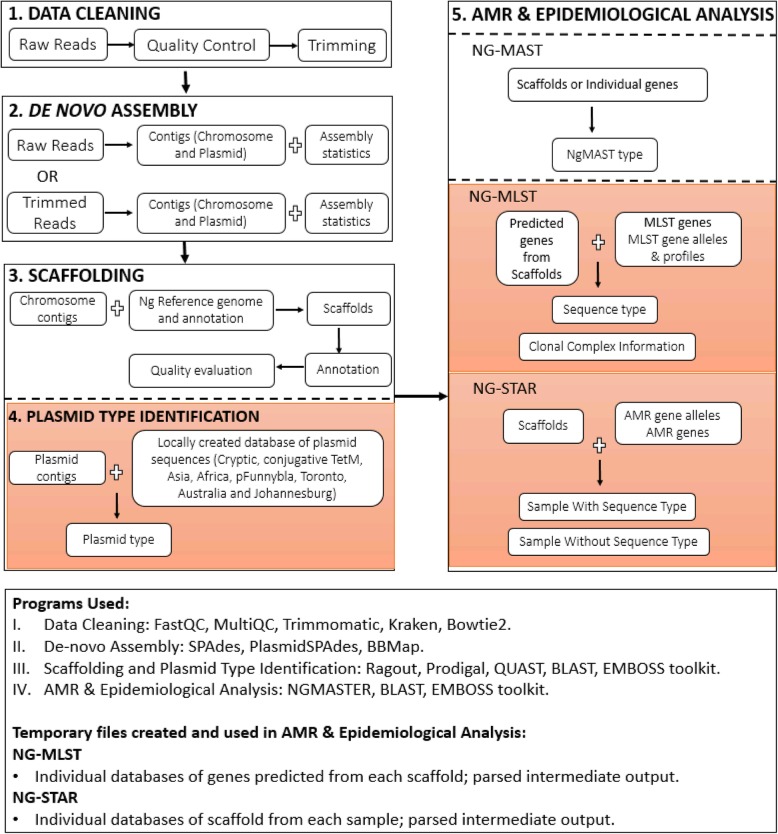 Fig. 1