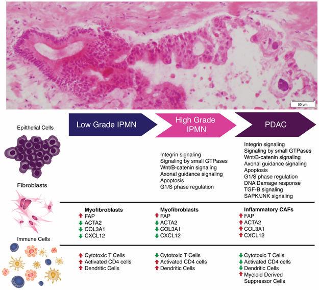 Figure 4: