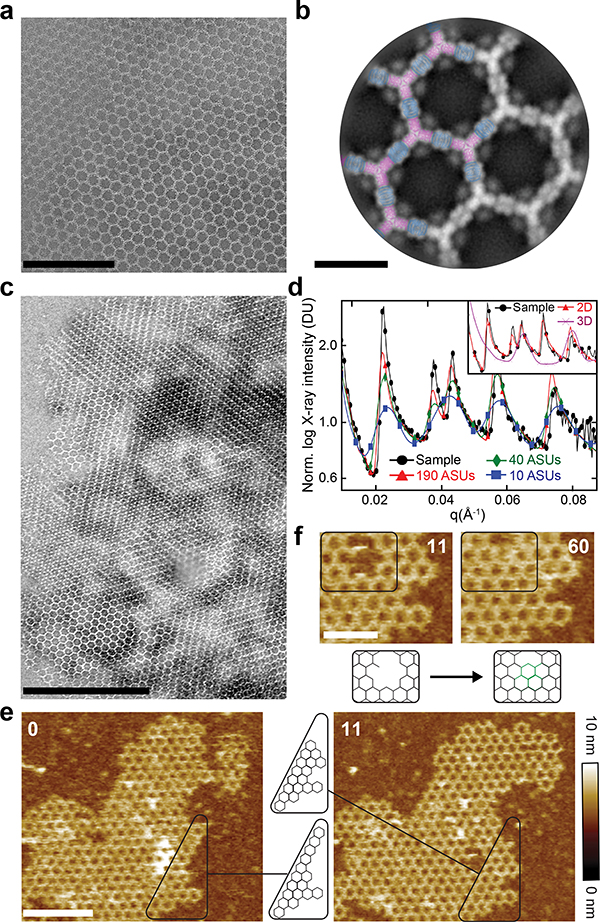 Figure 2.