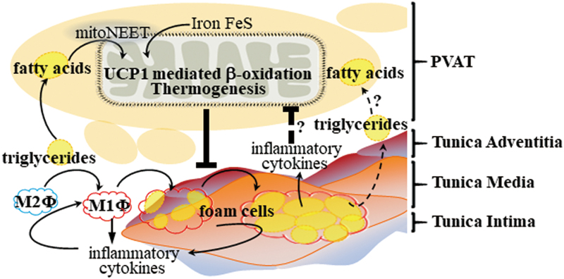 FIG. 4.