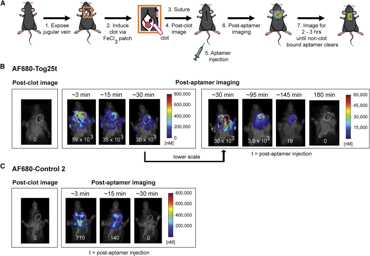 Figure 3