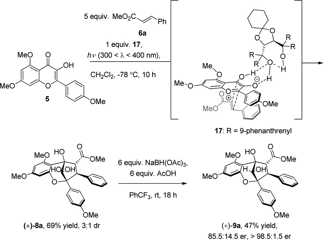 Scheme 3