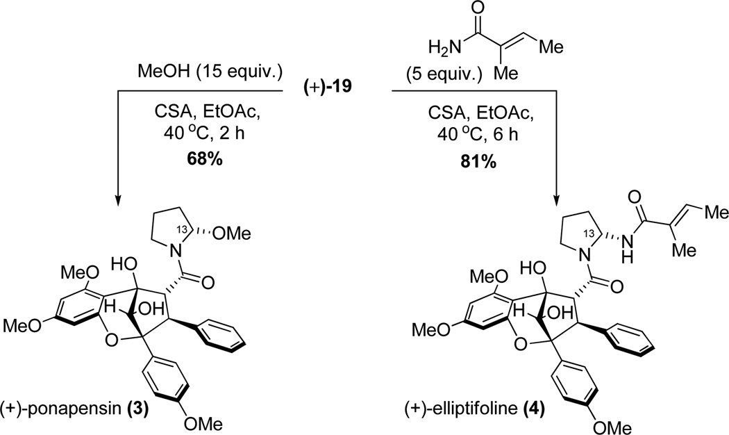 Scheme 8