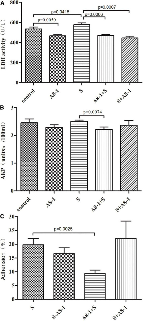 FIGURE 3