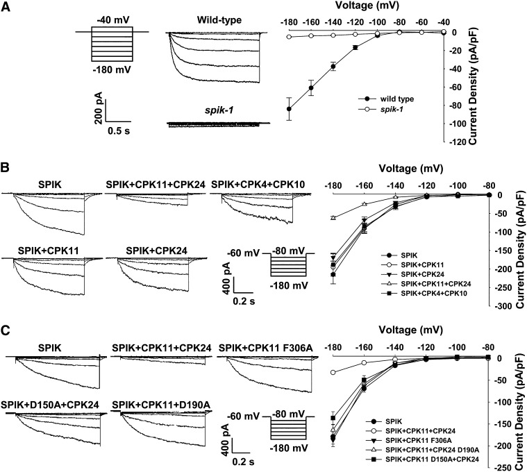 Figure 6.