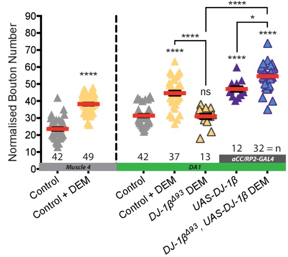 Figure 3—figure supplement 3.