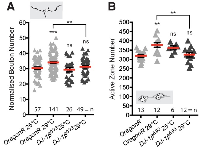 Figure 3—figure supplement 2.