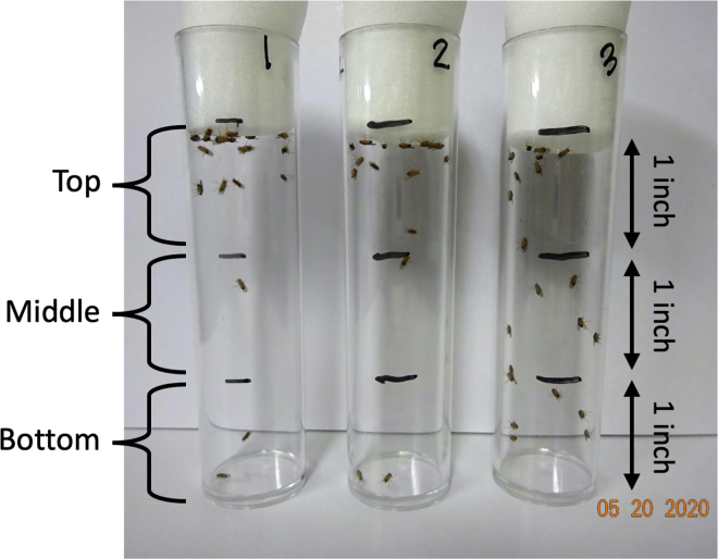 Figure 3