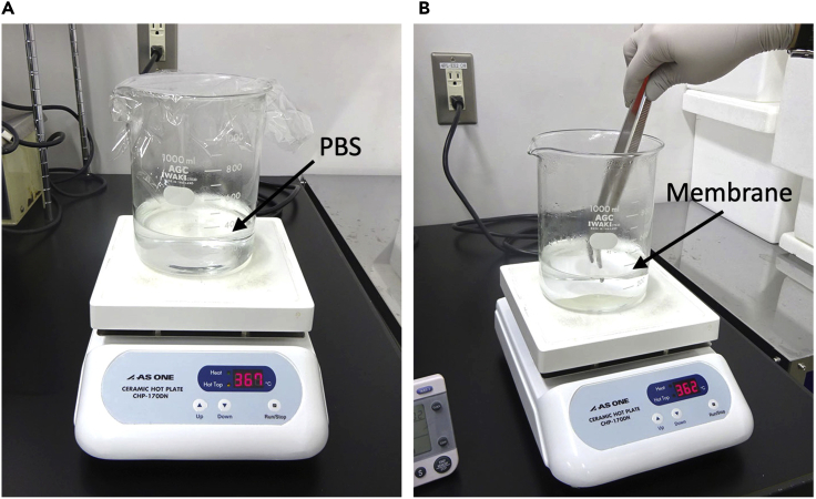 Figure 7