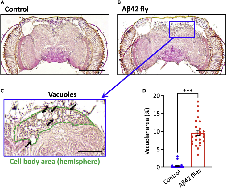 Figure 6