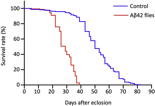 Figure 2