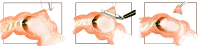 Fig. 2