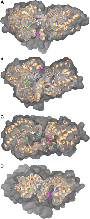 Figure 6