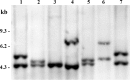 FIG 2