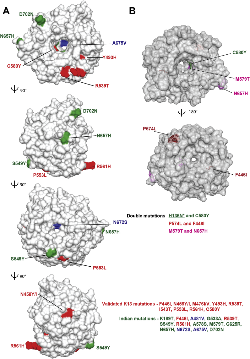 Fig. 2