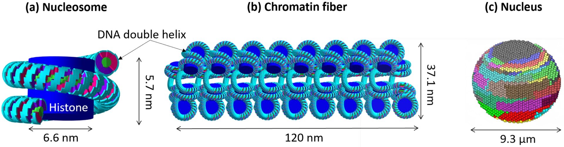 Figure 1.