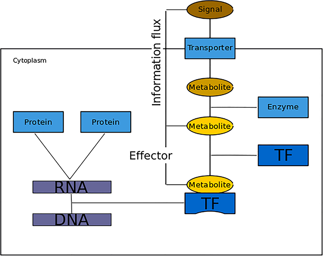 Figure 6 |