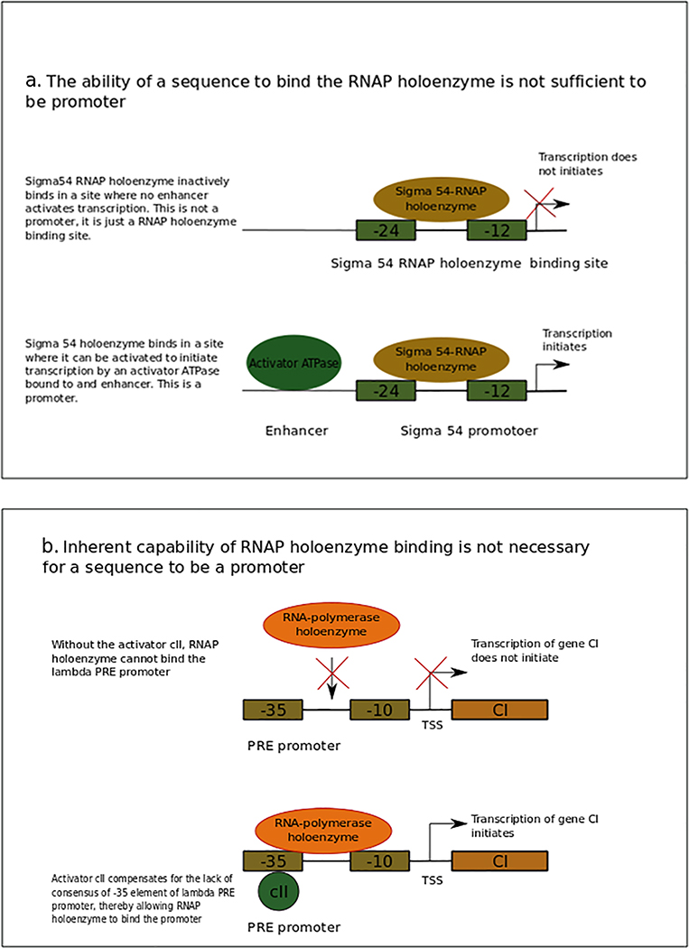 Figure 1 |