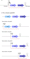 Figure 5 |