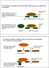 Figure 1 |