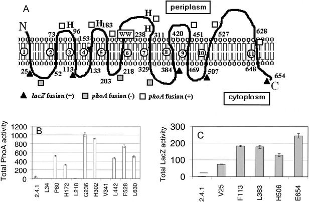 FIG. 7.