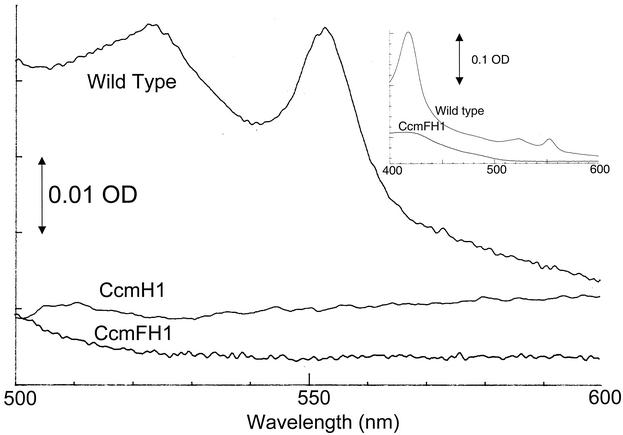 FIG. 2.