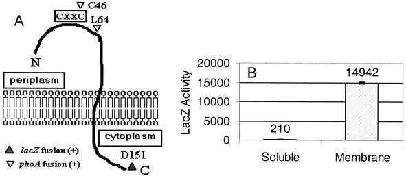 FIG. 5.