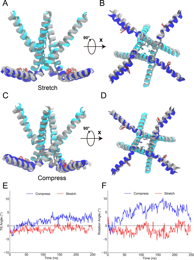 Figure 2—figure supplement 2.