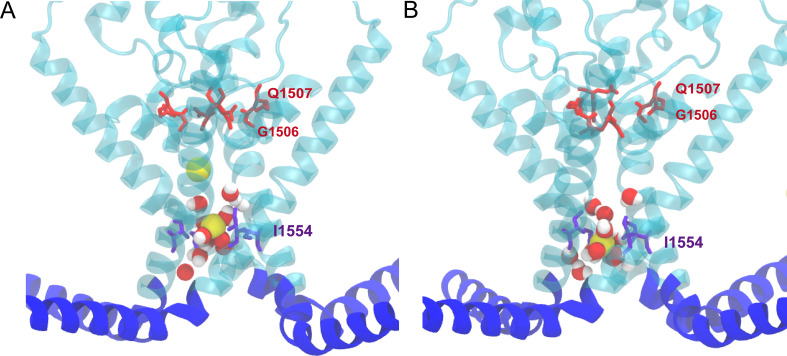 Figure 1—figure supplement 6.