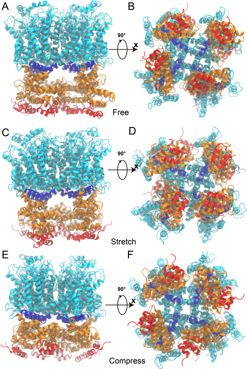 Figure 1—figure supplement 13.