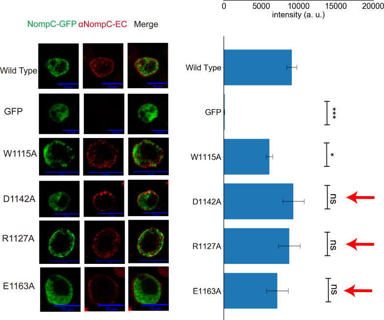 Figure 3—figure supplement 5.