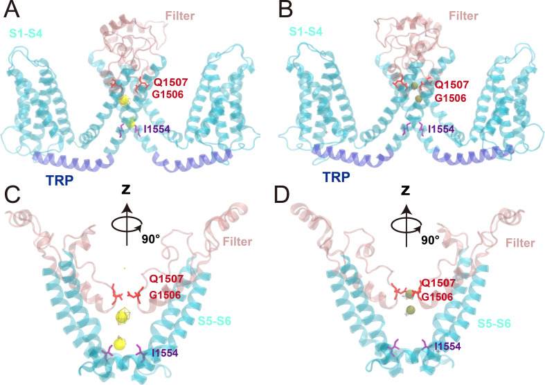 Figure 1—figure supplement 7.