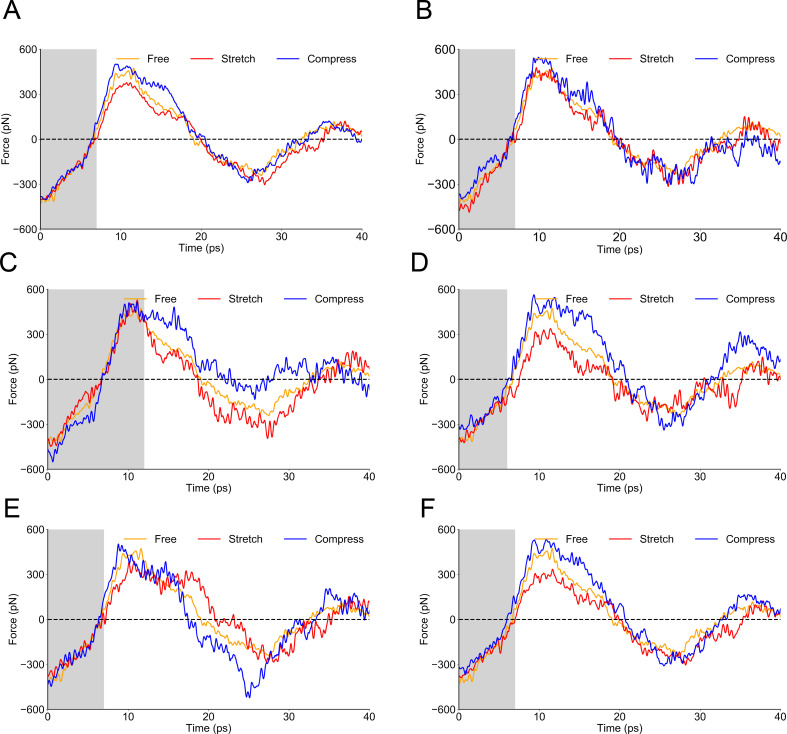 Figure 3—figure supplement 4.