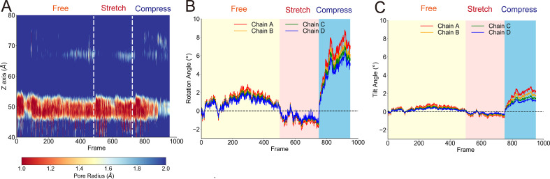 Figure 2—figure supplement 1.