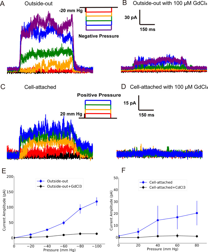 Figure 1—figure supplement 10.