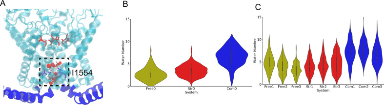 Figure 1—figure supplement 5.