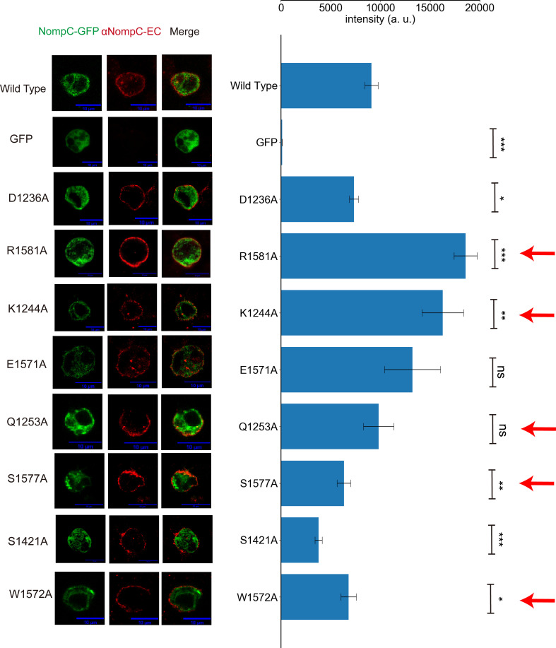 Figure 2—figure supplement 5.